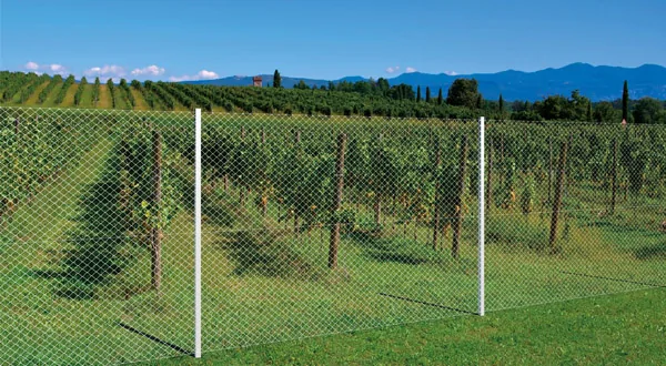 Recinzione terreno agricolo home